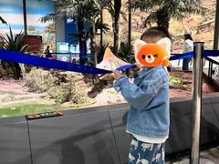 -湖南省地质博物馆