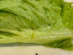 -泽成冰煮羊(非·遗三分店)