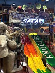 -卡通尼·Safari非洲探索乐园·生日会(金桥国际商业广场店)