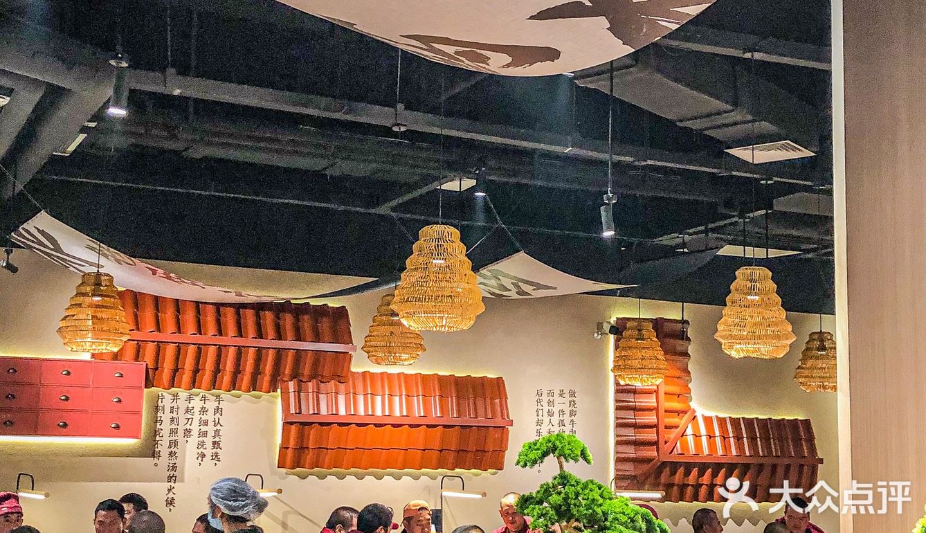 土著带你不排队吃跷脚牛肉🔥新店环境太好了