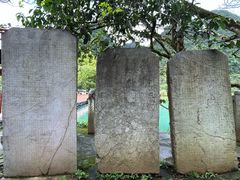 -靖西鹅泉风景区