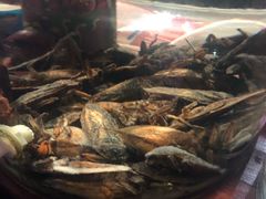 -昆虫窝子·特色云南菜(拓东路总店)
