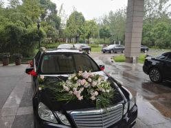 -蚂蚁婚车