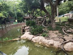-广州长隆野生动物世界