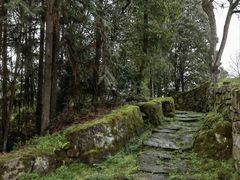 -唐崖土司城遗址