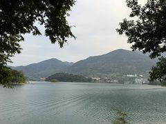 -广州市流溪河国家森林公园
