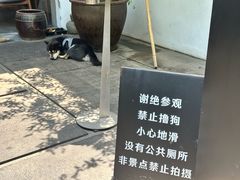 -青桃餐厅