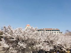 -第四食堂(中国海洋大学店)