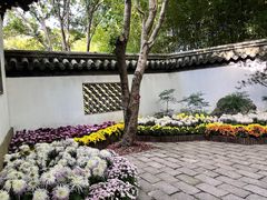 -汇龙潭