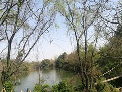 -西溪国家湿地公园