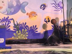 -太平洋海底世界