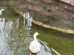 -三里河公园