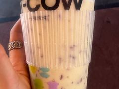 -一只酸奶牛(八一路店)