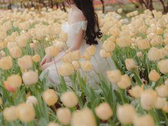 -石家庄市植物园