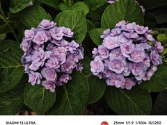 -中国科学院华南植物园