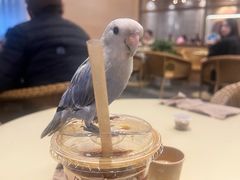 -去茶山(重庆万象城店)