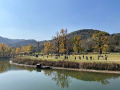 -千年银杏谷文化旅游区