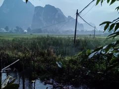 -明仕田园