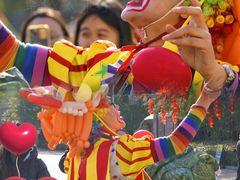 -中国西峡恐龙遗迹园