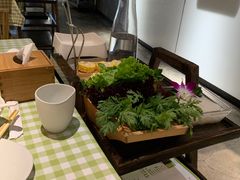蔬菜拼盘-番食园鲜食火锅(高新店)