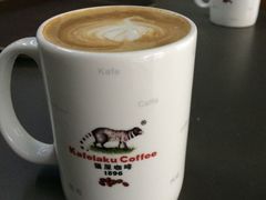 -猫屎咖啡(日月光中心广场店)