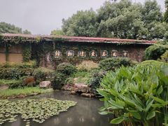 -中国茶叶博物馆(双峰馆区)
