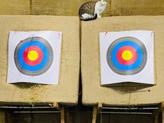 -蓝天射箭馆·专业射箭运动(诚丰广场店)