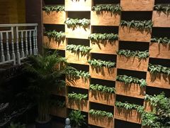 -御湾·浅水湾·贺胜土鸡汤(潜山店)