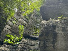 -梭布垭石林景区