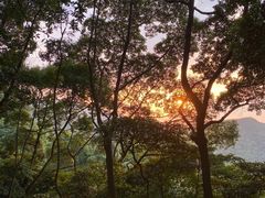 -阳台山森林公园