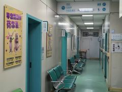 -北京观赏动物医院·24小时大型综合·猫专科·异宠专科