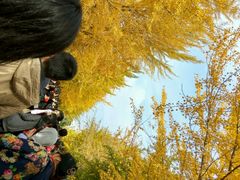 -辽宁大学(崇山校区)