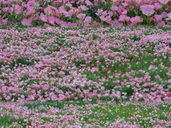 -汉长安城未央宫国家考古遗址公园