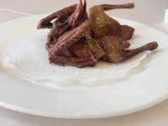 金牌炸乳鸽-维多利亚大酒店·雅园中餐厅