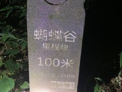 -梧桐山风景名胜区