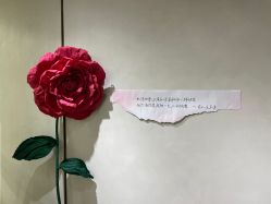 -金夫人婚纱摄影(华南店)