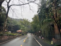 -天怡·鱼工厂(梅溪湖店)