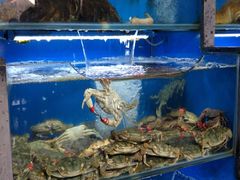 -桔子海鲜烧烤大排档(金沙滩店)