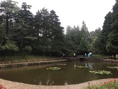 -庐山风景区花径公园