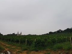 -北京张裕爱斐堡酒庄