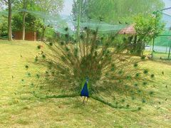 -泗洪洪泽湖湿地景区