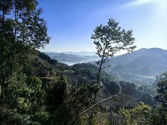 -普洱太阳河森林公园