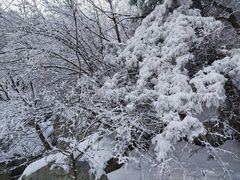-秦岭风景区