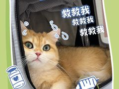 -御宝贝24h宠物医院·转诊中心·CT核磁血透中心(厦门总院)