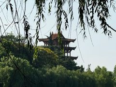 -沙市市中山公园
