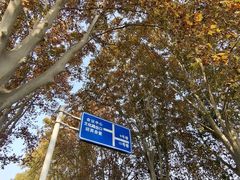 -河南省黄河迎宾馆