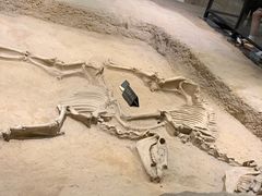 -洛阳周王城天子驾六博物馆