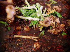 -温江公平红烧兔(总店)