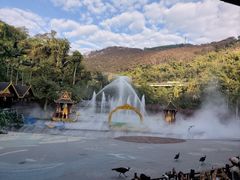 -西双版纳原始森林公园