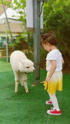 点击看大图 -萌宠亲子动物乐园(槐房万达店)